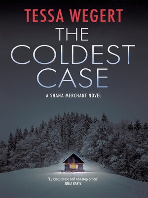The Coldest Case - ebook